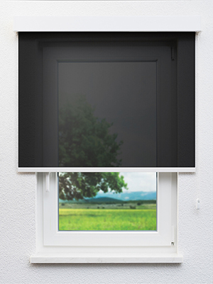 Carona 20049 Fensteransicht