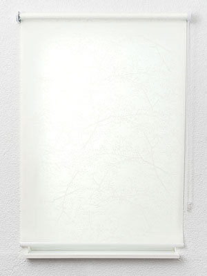 Preview Morella 6333 1