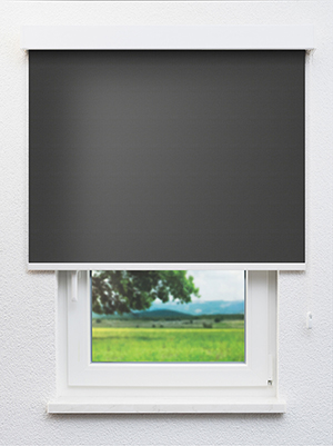 Leysin VD 20132 Fensteransicht