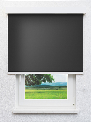 Leysin VD 20134 Fensteransicht