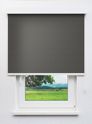 Mesocco 20243 Fensteransicht