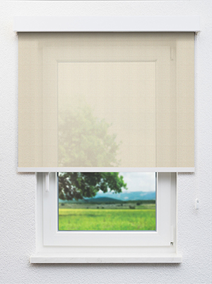 Salins 20330 Fensteransicht