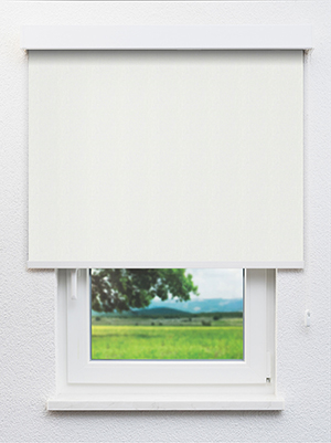 Noville 20260 Fensteransicht