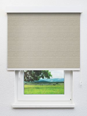 Bioggio 20028 Fensteransicht