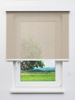 Carona 20045 Fensteransicht