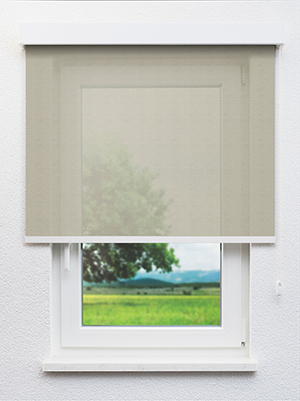 Nyon 20264 Fensteransicht