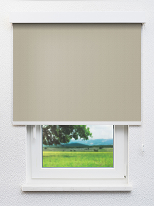 Truttikon 20375 Fensteransicht