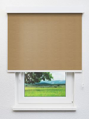 Losone 20140 Fensteransicht