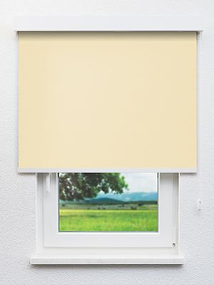 Leysin 20120 Fensteransicht