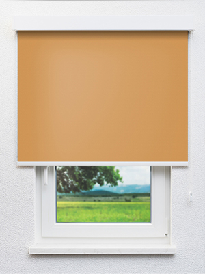 Truttikon 20371 Fensteransicht