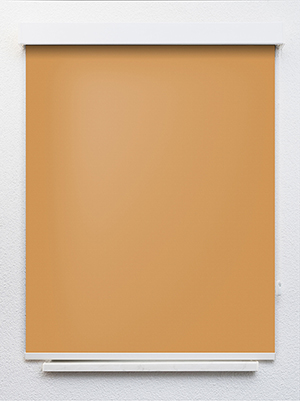 Preview Truttikon 20371 1