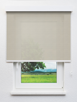 Aarburg 20008 Fensteransicht