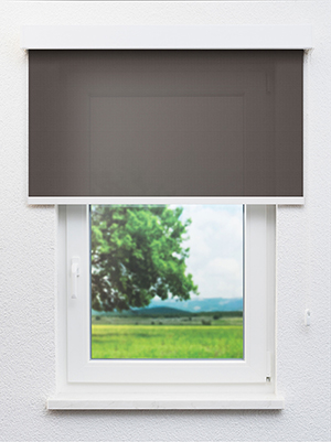 Preview Biglen 20026 2