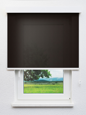 Savosa 20340 Fensteransicht