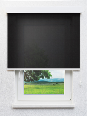 Bassins 20013 Fensteransicht