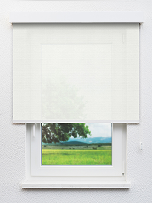 Savosa 20337 Fensteransicht