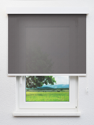 Turgi 20381 Fensteransicht