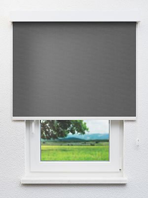 Adlikon 20002 Fensteransicht