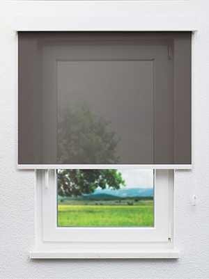 Isone 20093 Fensteransicht