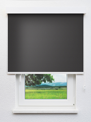 Mauraz VD 20198 Fensteransicht