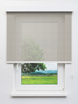 Grancy 20076 Fensteransicht