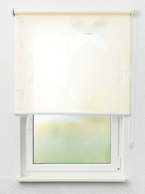 Bluefields 6353 Fensteransicht