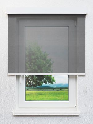 Fores 5183 Fensteransicht