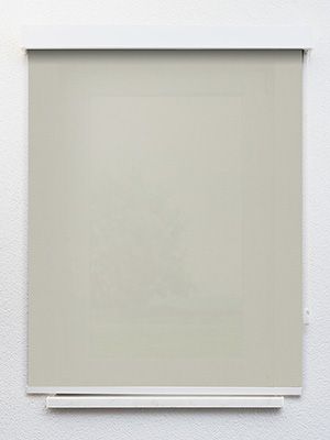 Preview Ranas 5219 1