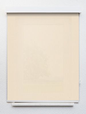 Preview Ranas 5220 1