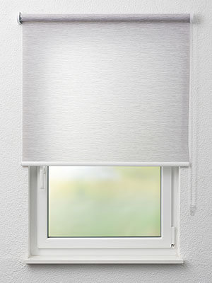 Toyo 5257 Fensteransicht