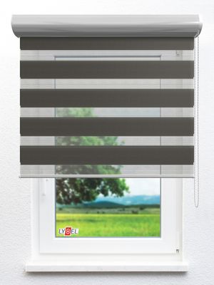 Simply Doppelrollo Dresden 30326 Fensteransicht