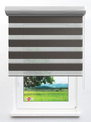 Simply Doppelrollo Görlitz 30424 Fensteransicht