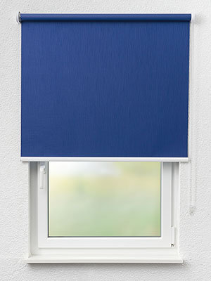 Sierra Nevada 6393 Fensteransicht