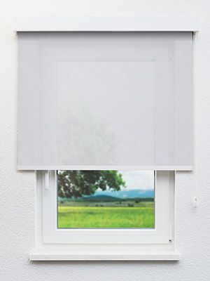 Valldemossa 4371 Fensteransicht