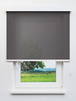 Valldemossa 5328 Fensteransicht