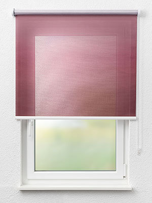 Jinotega 6012 Fensteransicht