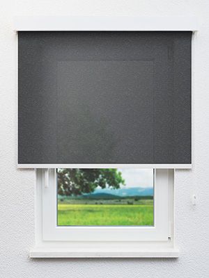 Artemisa 7871 Fensteransicht