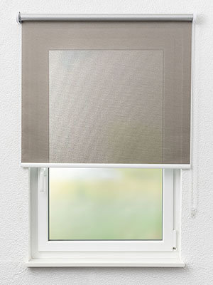 Cobra 4397 Fensteransicht