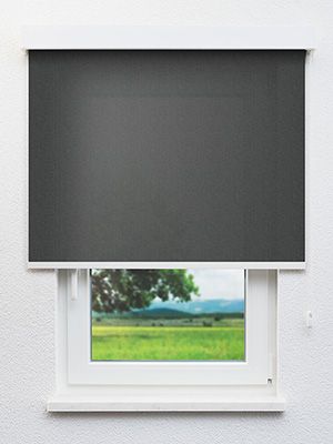 Arta 7191 Fensteransicht