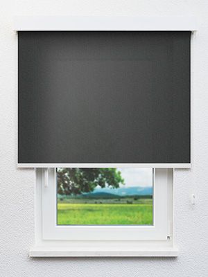 Arta 7192 Fensteransicht