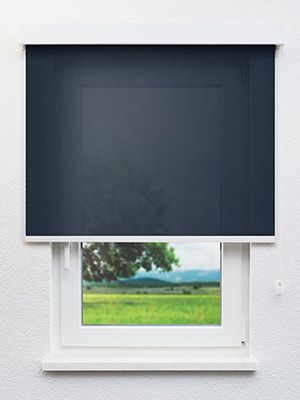 Paraja 7383 Fensteransicht