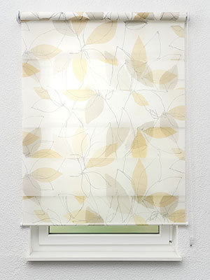 Comayagua 6640 Fensteransicht