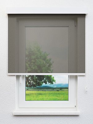 Benamina 7900 Fensteransicht