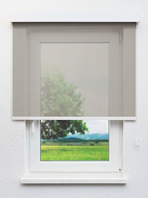 Escalona 7612 Fensteransicht