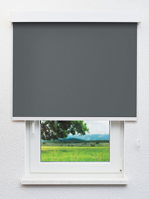 Pals 8151 Fensteransicht