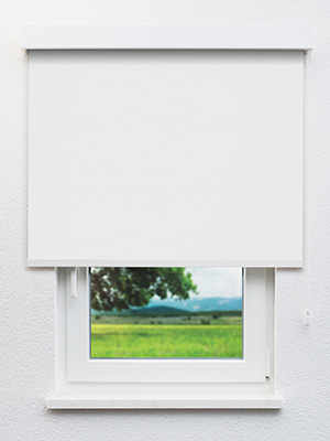 Pals 8155 Fensteransicht