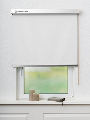 San Carlos VD 54151 Fensteransicht