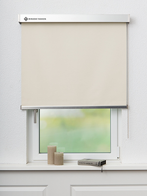 San Carlos VD 54161 Fensteransicht