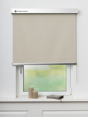 San Carlos VD 54131 Fensteransicht