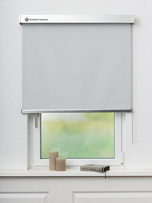 San Carlos VD 54171 Fensteransicht